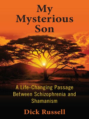 cover image of My Mysterious Son: a Life-Changing Passage between Schizophrenia and Shamanism
